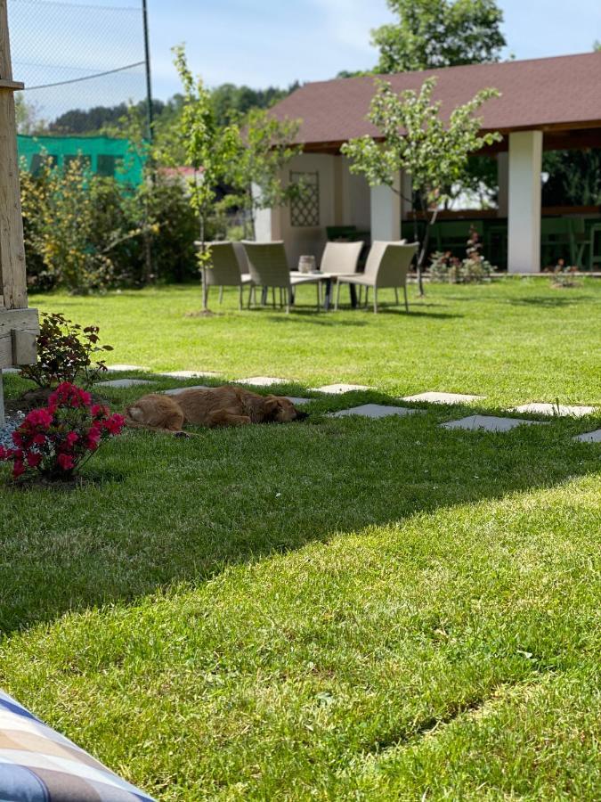 Anahouse Pensión Vişeu de Sus